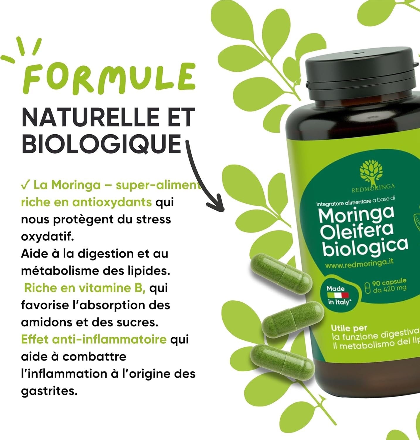 90 Gélules De Moringa Bio | La Seule Moringa Biologique Produite En Italie | Véganes Sans Additifs | Super Antioxydant Riche En Vitamines Et Protéines Végétales | Haute Qualité