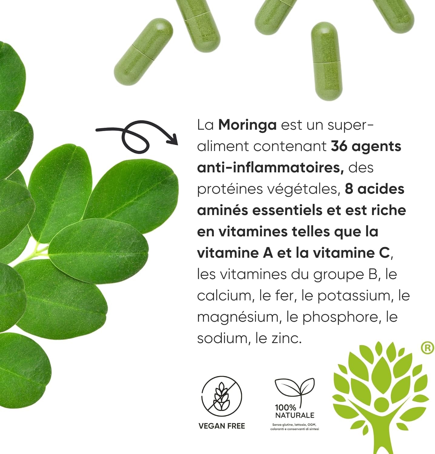 90 Gélules De Moringa Bio | La Seule Moringa Biologique Produite En Italie | Véganes Sans Additifs | Super Antioxydant Riche En Vitamines Et Protéines Végétales | Haute Qualité