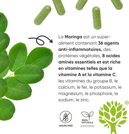 90 Gélules De Moringa Bio | La Seule Moringa Biologique Produite En Italie | Véganes Sans Additifs | Super Antioxydant Riche En Vitamines Et Protéines Végétales | Haute Qualité