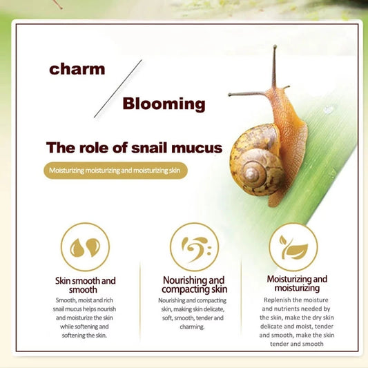Soins de la peau Crème d'escargot Crème au collagène Anti-âge Blanchit la peau Crème pour le visage Atténue les cernes Élimine les poches sous les yeux Sérum pour les yeux